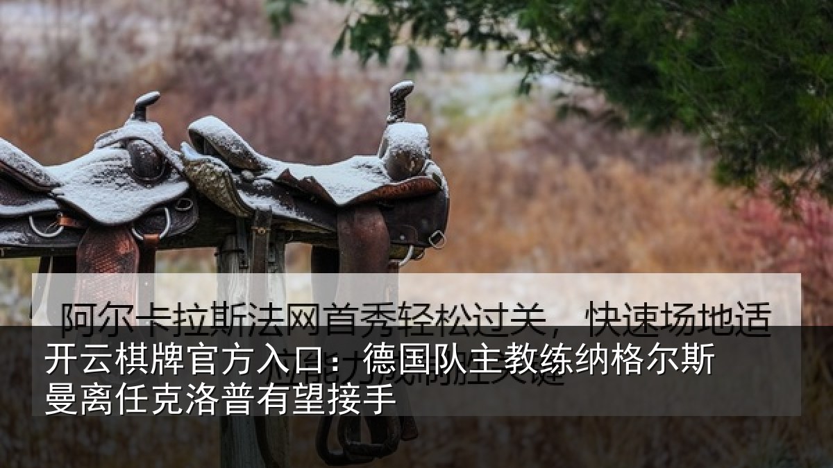 开云棋牌官方入口：德国相关情况曼离相关情况