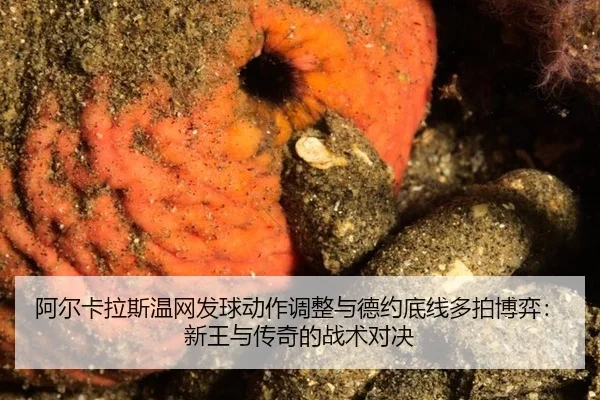 a-er-ka-la-si-wen-wang-fa-qiu-dong-zuo-tiao-zheng-yu-de-yue-di-xian-duo-pai-bo-yi-xin-wang-yu-chuan-qi-de-zhan-shu-dui-2-165.jpg
