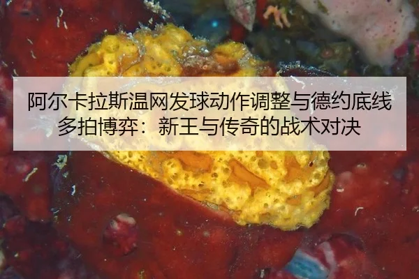 a-er-ka-la-si-wen-wang-fa-qiu-dong-zuo-tiao-zheng-yu-de-yue-di-xian-duo-pai-bo-yi-xin-wang-yu-chuan-qi-de-zhan-shu-dui-3-893.jpg