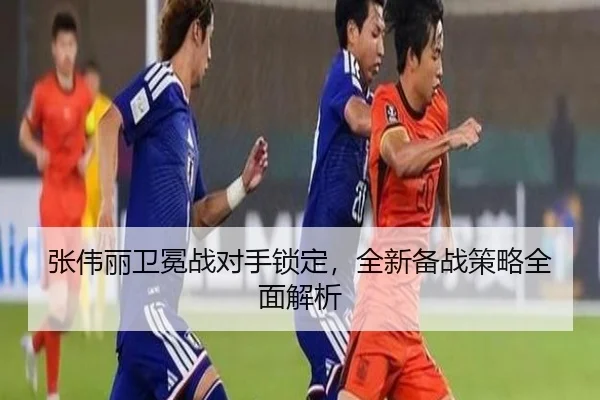 zhang-wei-li-wei-mian-zhan-dui-shou-suo-ding-quan-xin-bei-zhan-ce-lve-quan-mian-jie-xi-2-372.jpg
